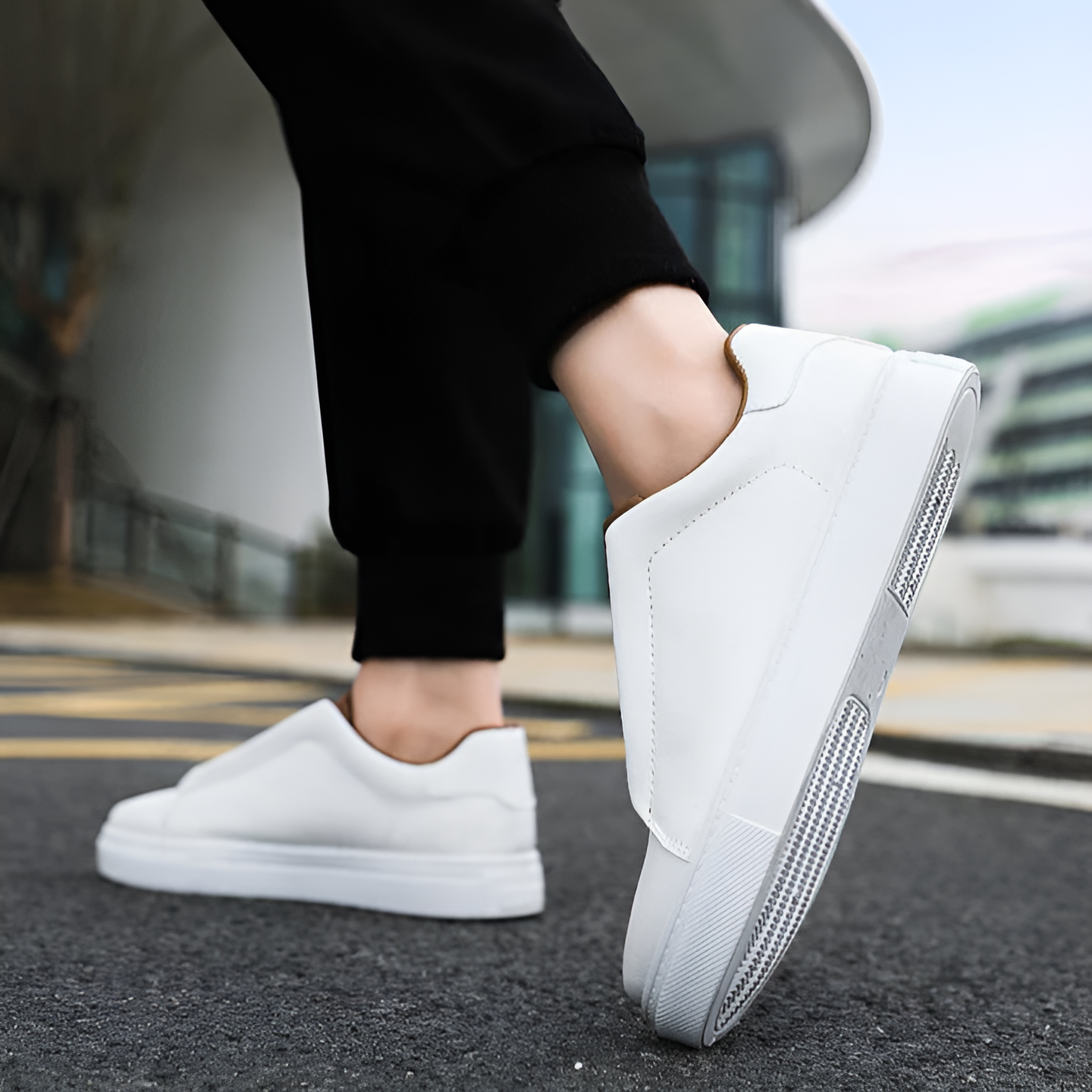 Bernardo  Chic Sneakers